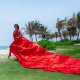 Flying dress combo (10 photos + video)
