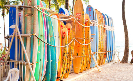 surf rental surf rental