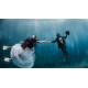 Underwater Wedding Ceremony